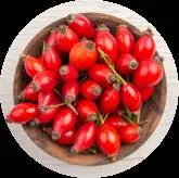 Berberine HCl